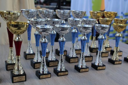 Nagrody w poszczególnych kategoriach